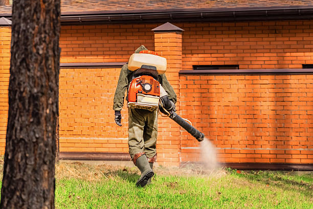 Top rated local Ant Control specialists in Grandview, OH